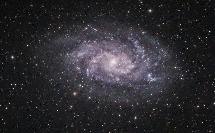 Triangulum Galaxy (M33)